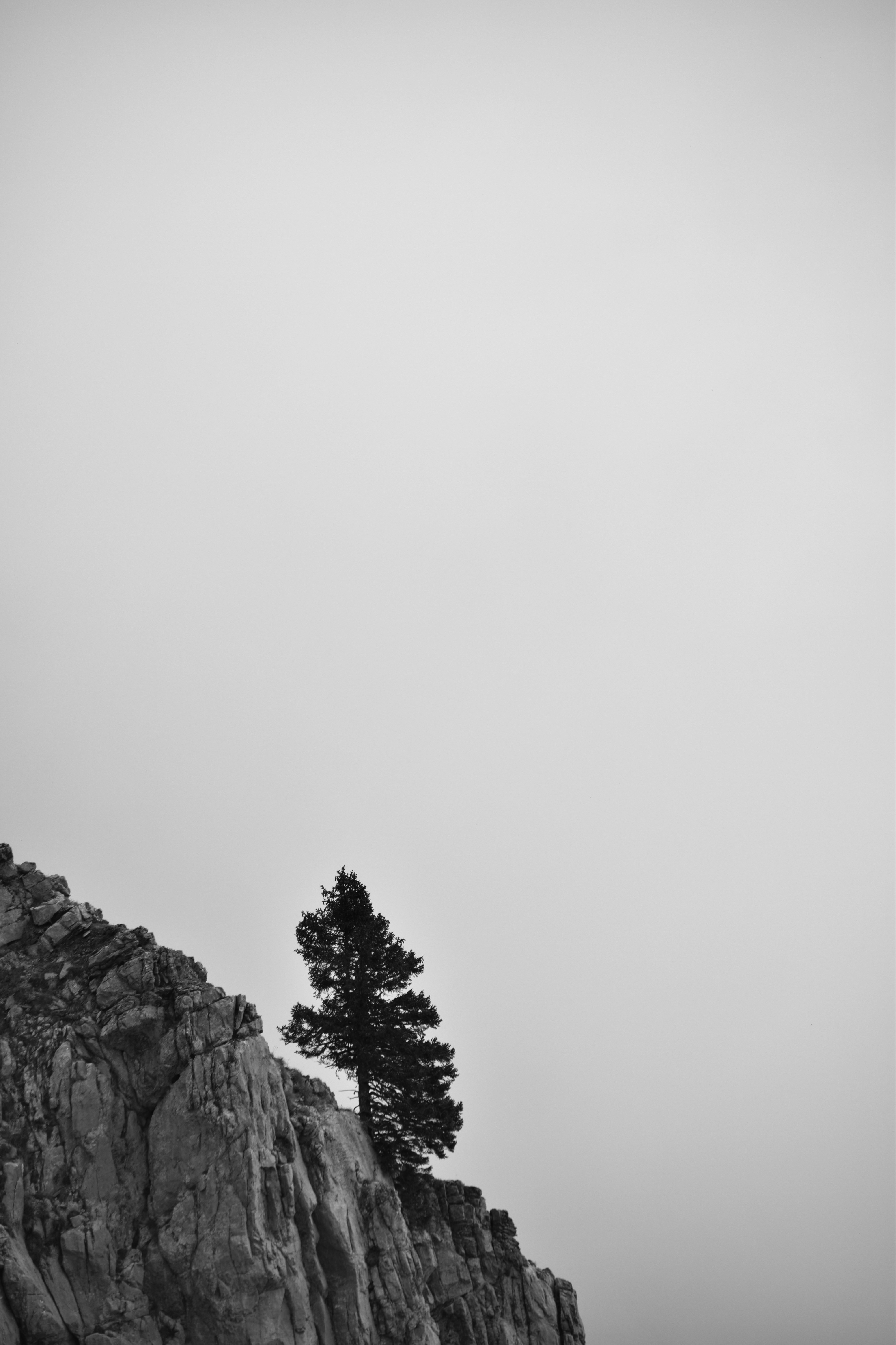 Photo by sven_pieren