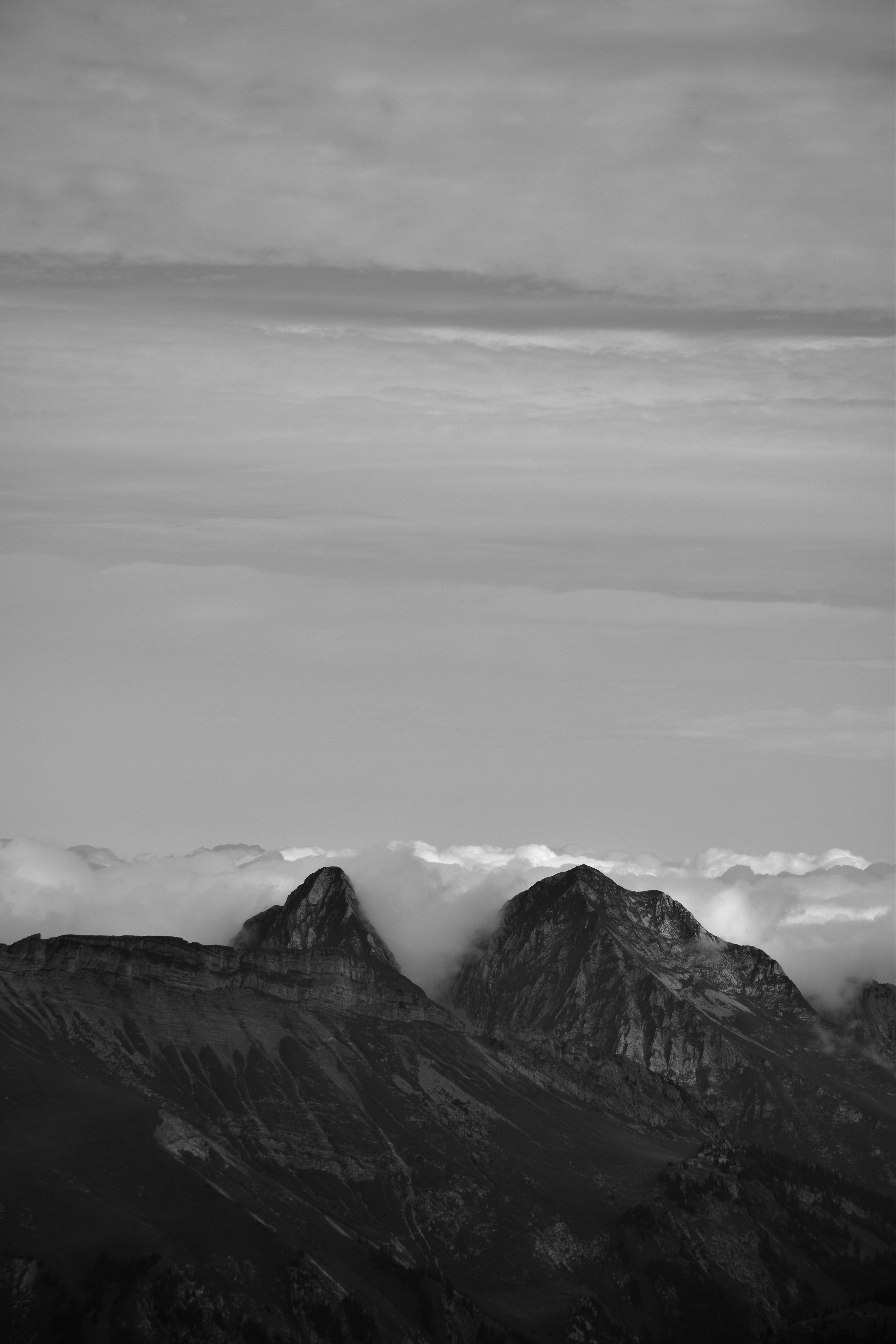 Photo by sven_pieren