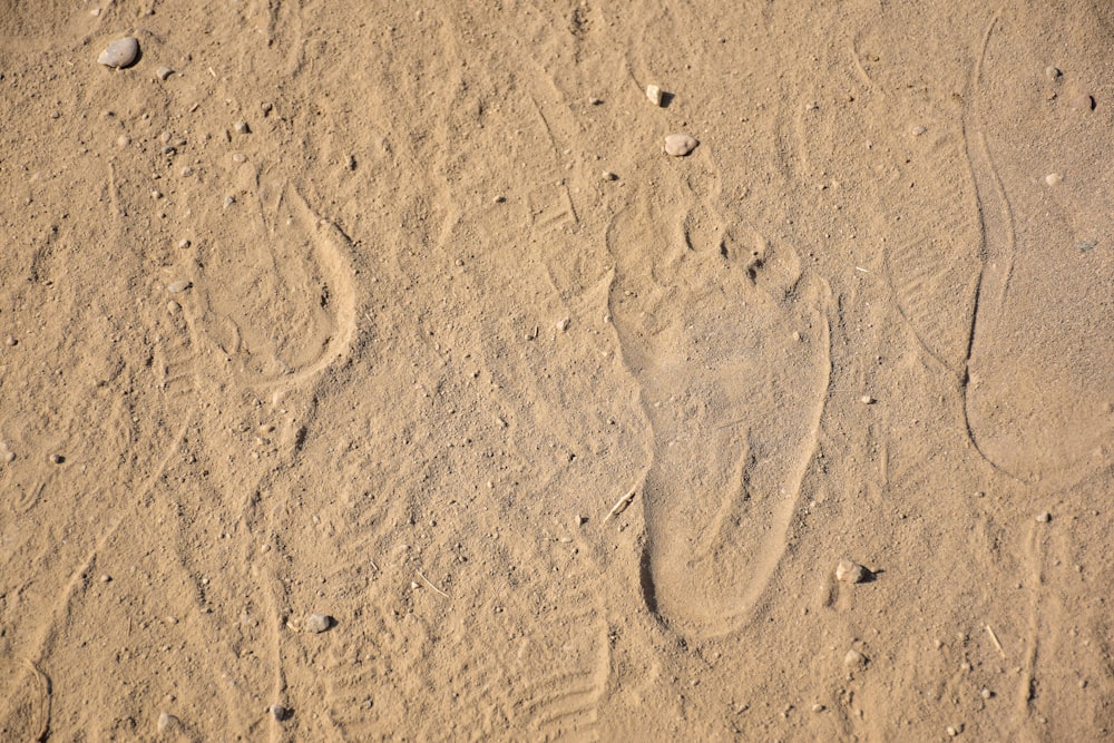 empreintes de pieds sur le sable brun