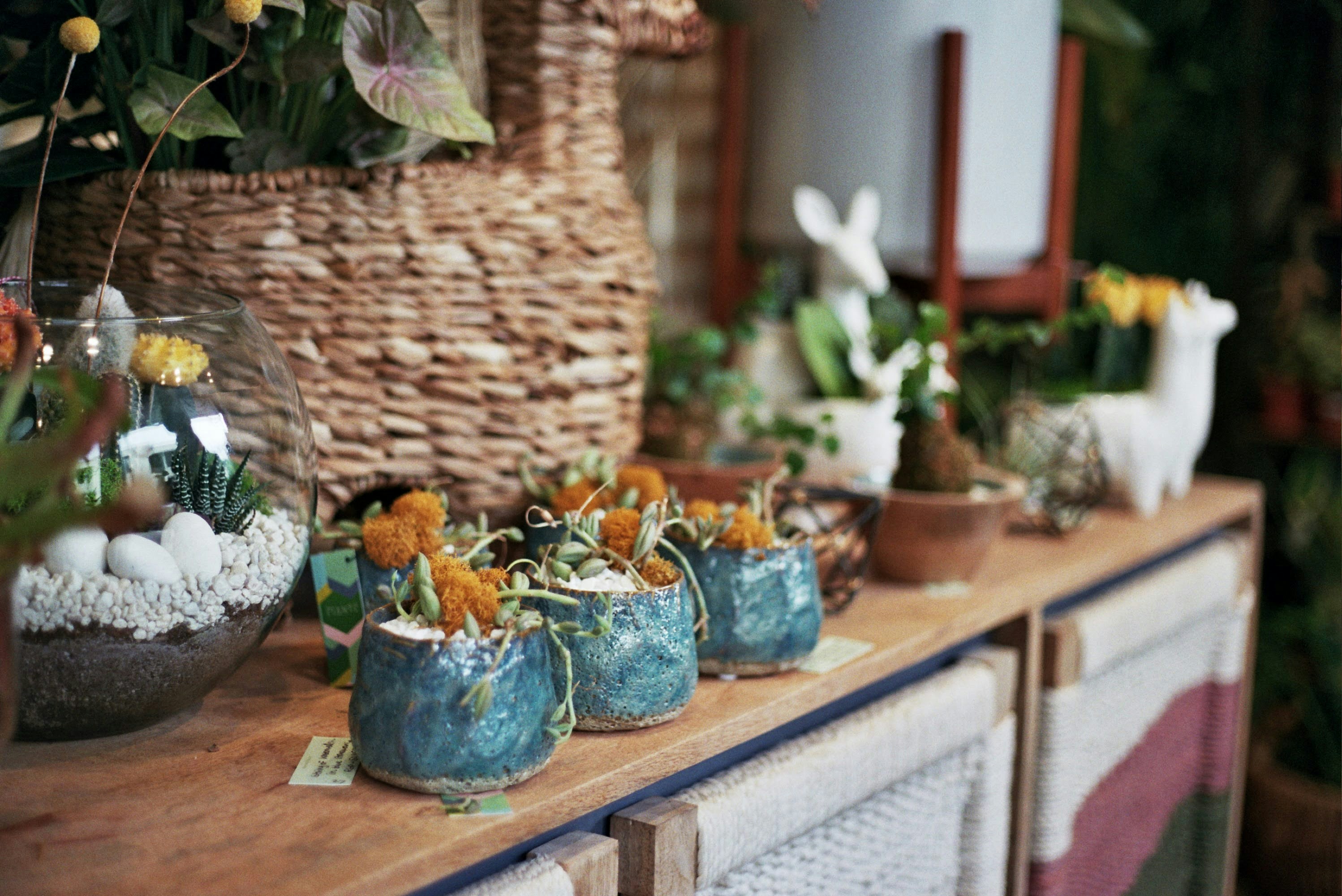 Crafts and flower pots in Winter Park Florida