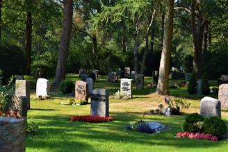 green grass field with trees