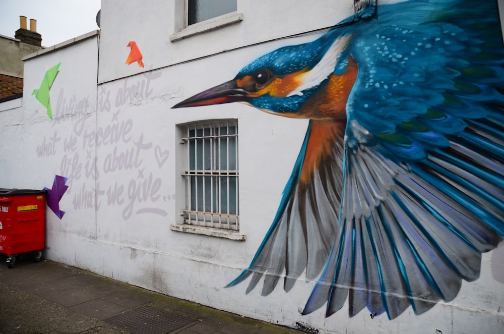 blue and brown bird on white wall