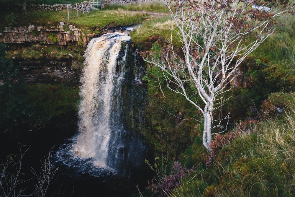 water falls on green grass field during daytime