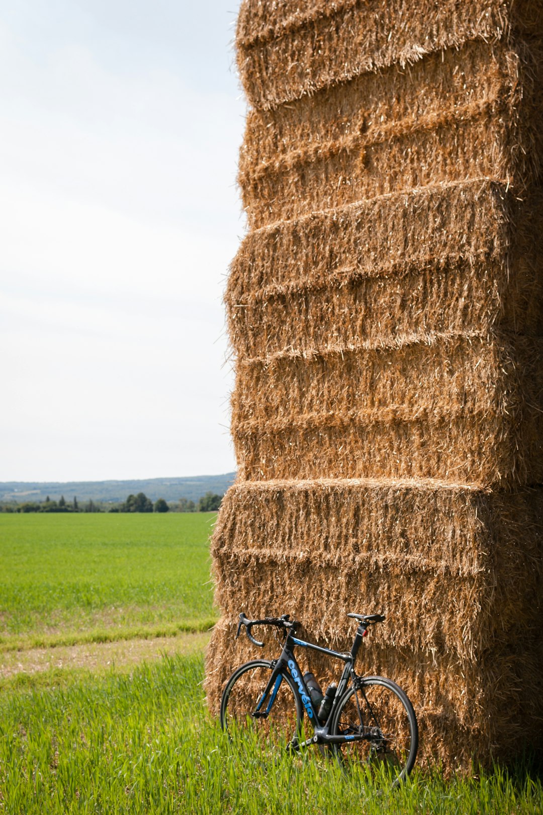 brown hay roll on green grass field during daytime