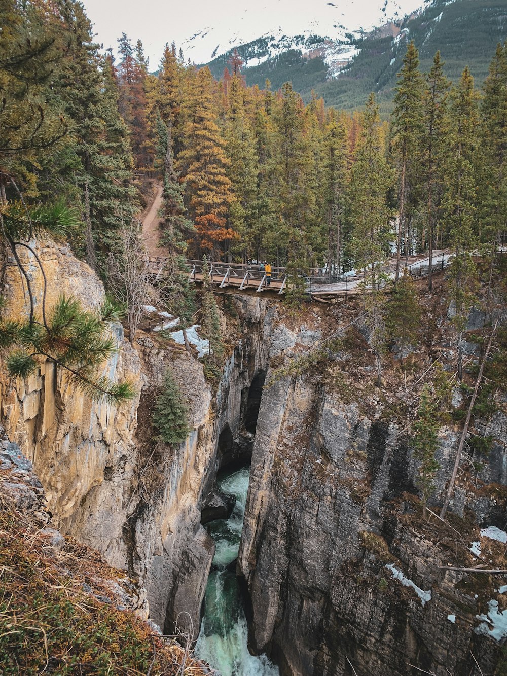 people walking on bridge over river during daytime