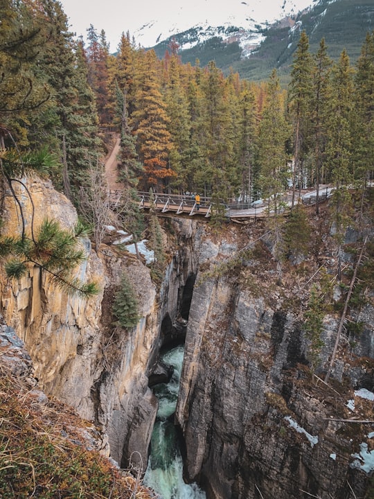 people walking on bridge over river during daytime in Sunwapta Falls Canada