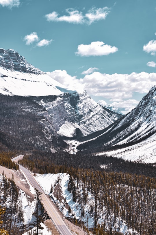 snow covered mountain under blue sky during daytime in Icefields Parkway Canada