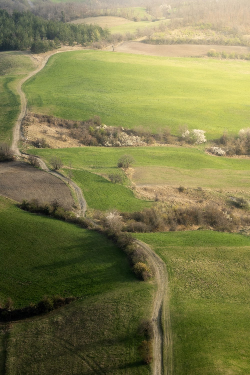 campo di erba verde durante il giorno