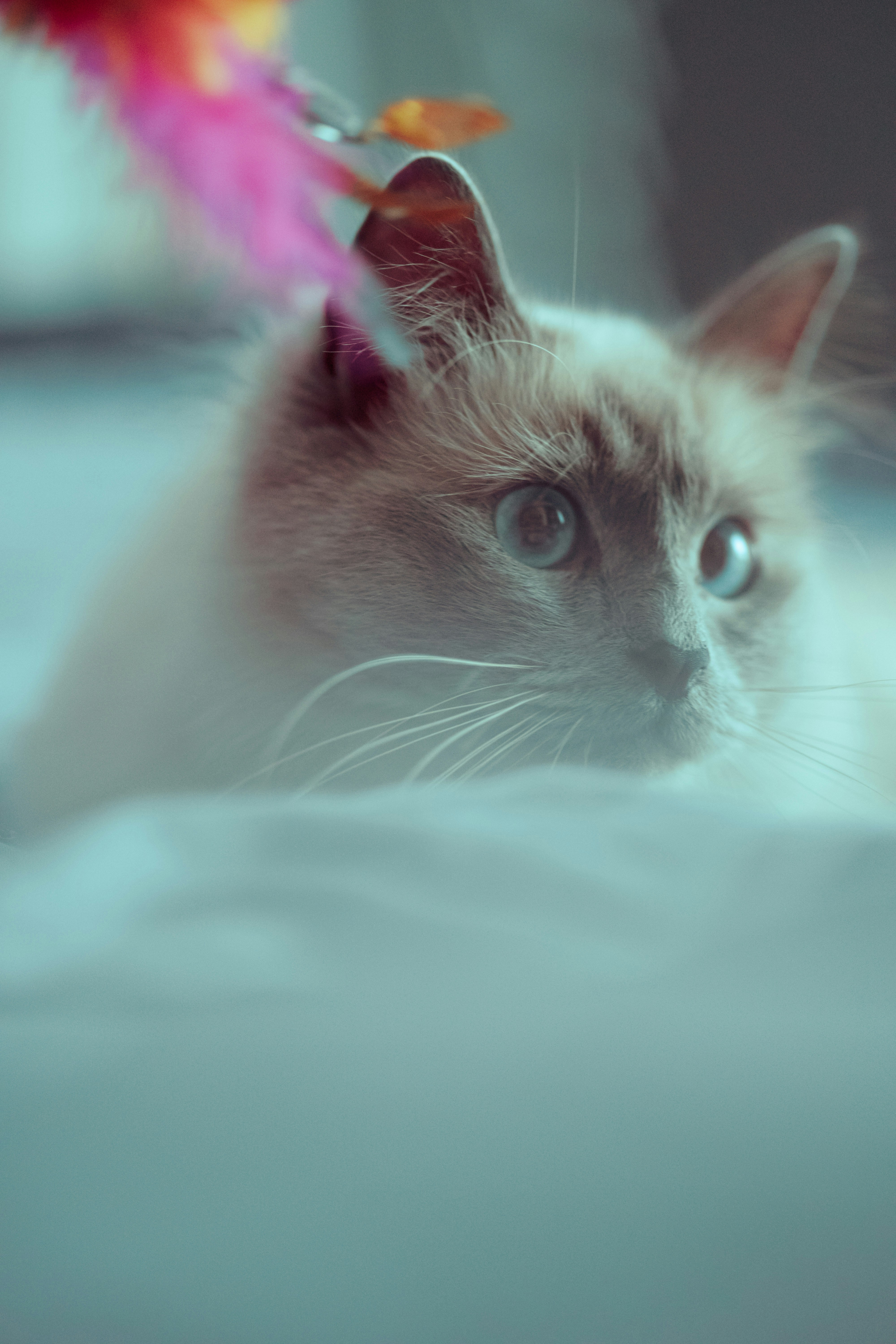 Photo by omarvellous14