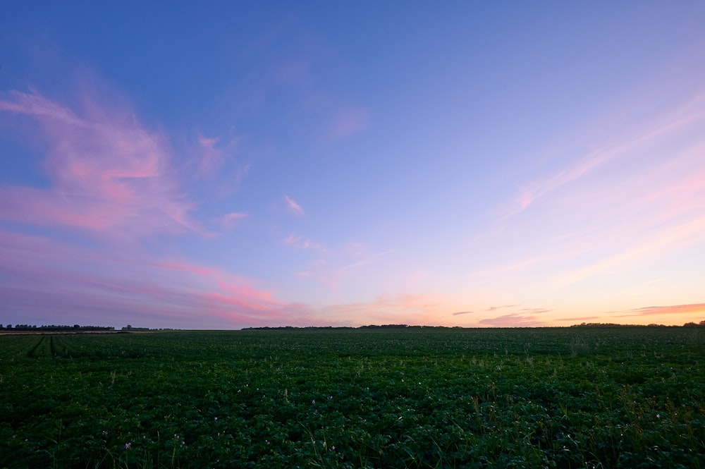 Grünes Grasfeld unter blauem Himmel tagsüber