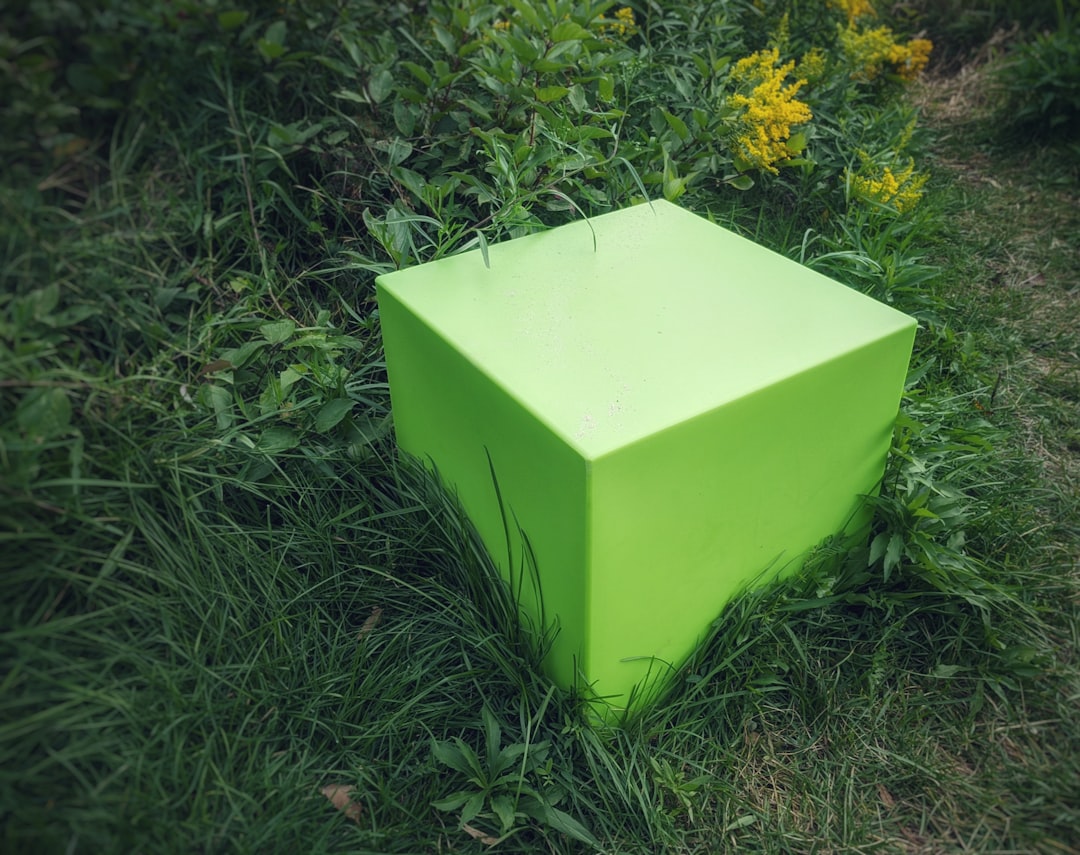 yellow box on green grass