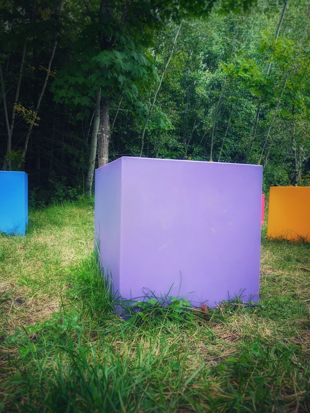 white and blue cooler box on green grass