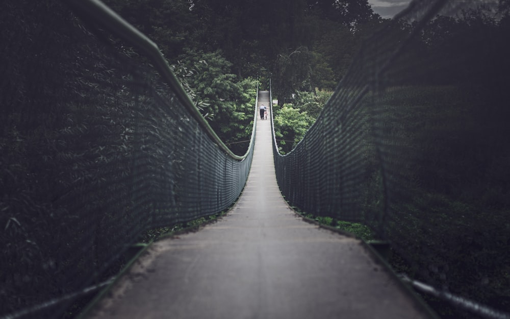 gray concrete road between green trees during daytime