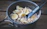 A close-up of a hearty freeze-dried meal rehydrating in a lightweight camping bowl on a rustic wooden table.