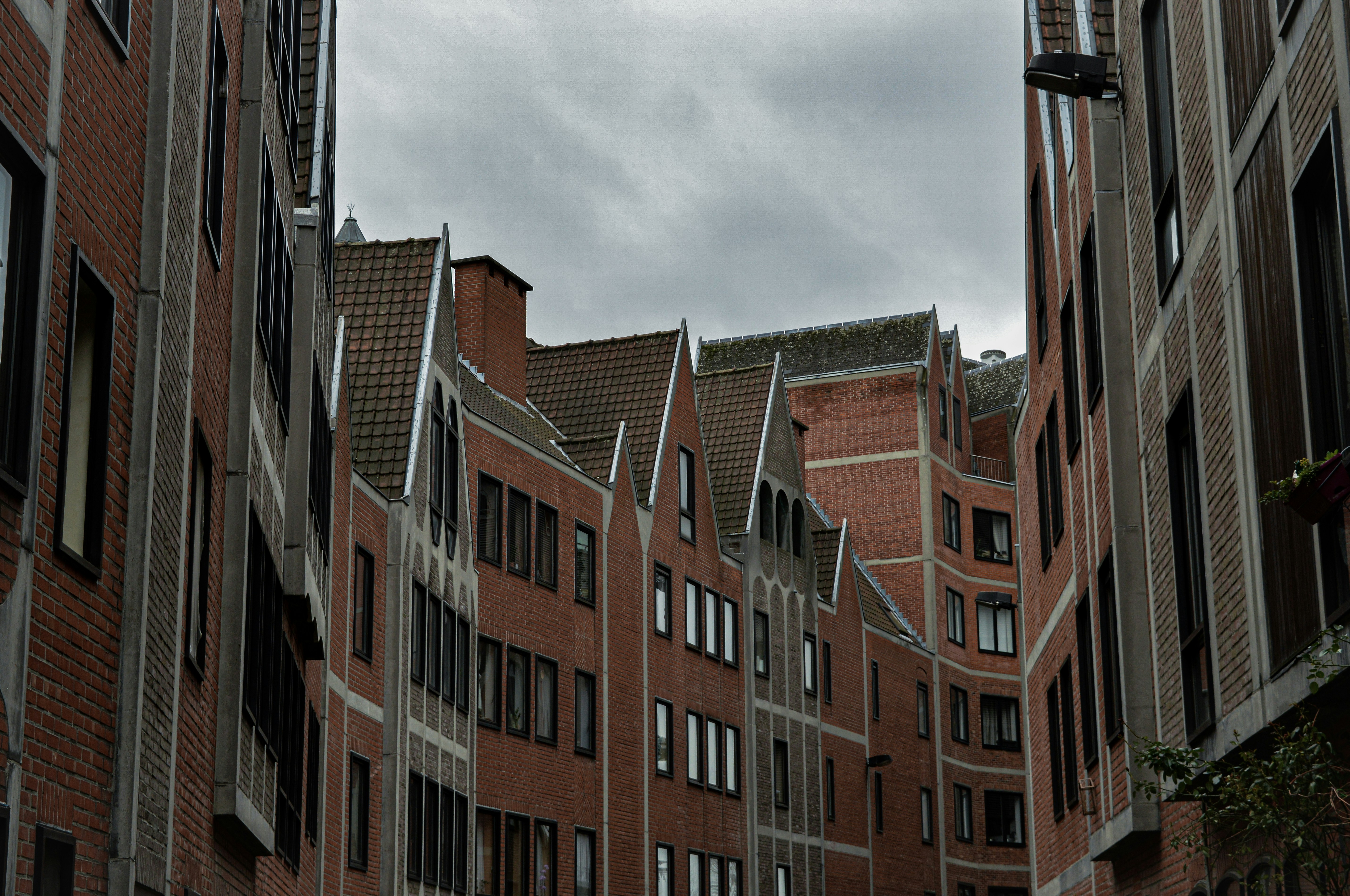 Photo by joaovguima