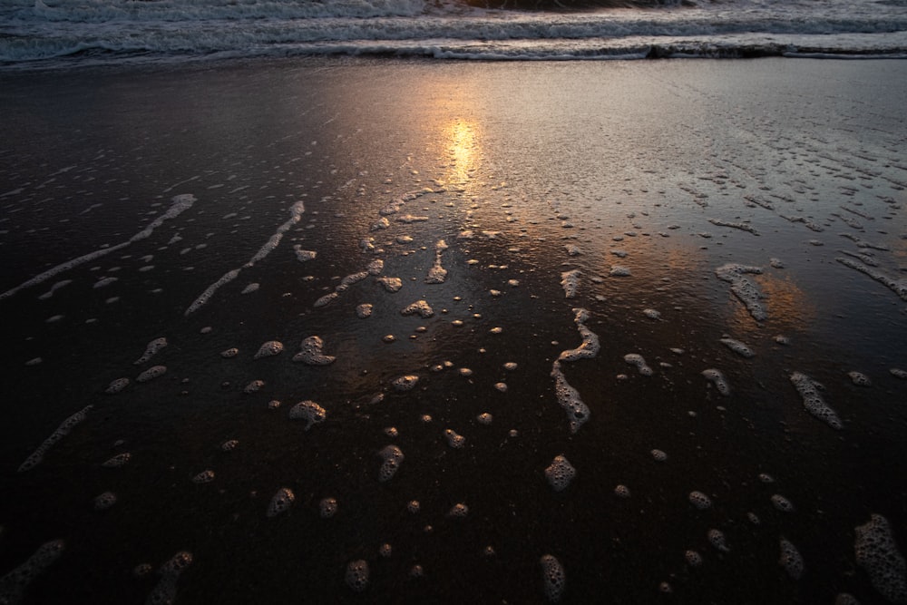 water on the shore during sunset