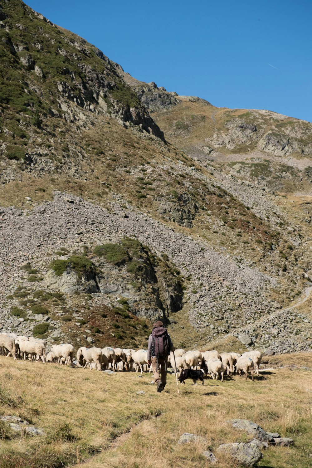 people on green grass covered mountain during daytime