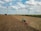 A large agricultural field with two wind turbines in the background. A green tractor is working on the field, which appears dry and harvested. The sky is partly cloudy, creating a serene atmosphere.
