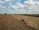 A large agricultural field with two wind turbines in the background. A green tractor is working on the field, which appears dry and harvested. The sky is partly cloudy, creating a serene atmosphere.