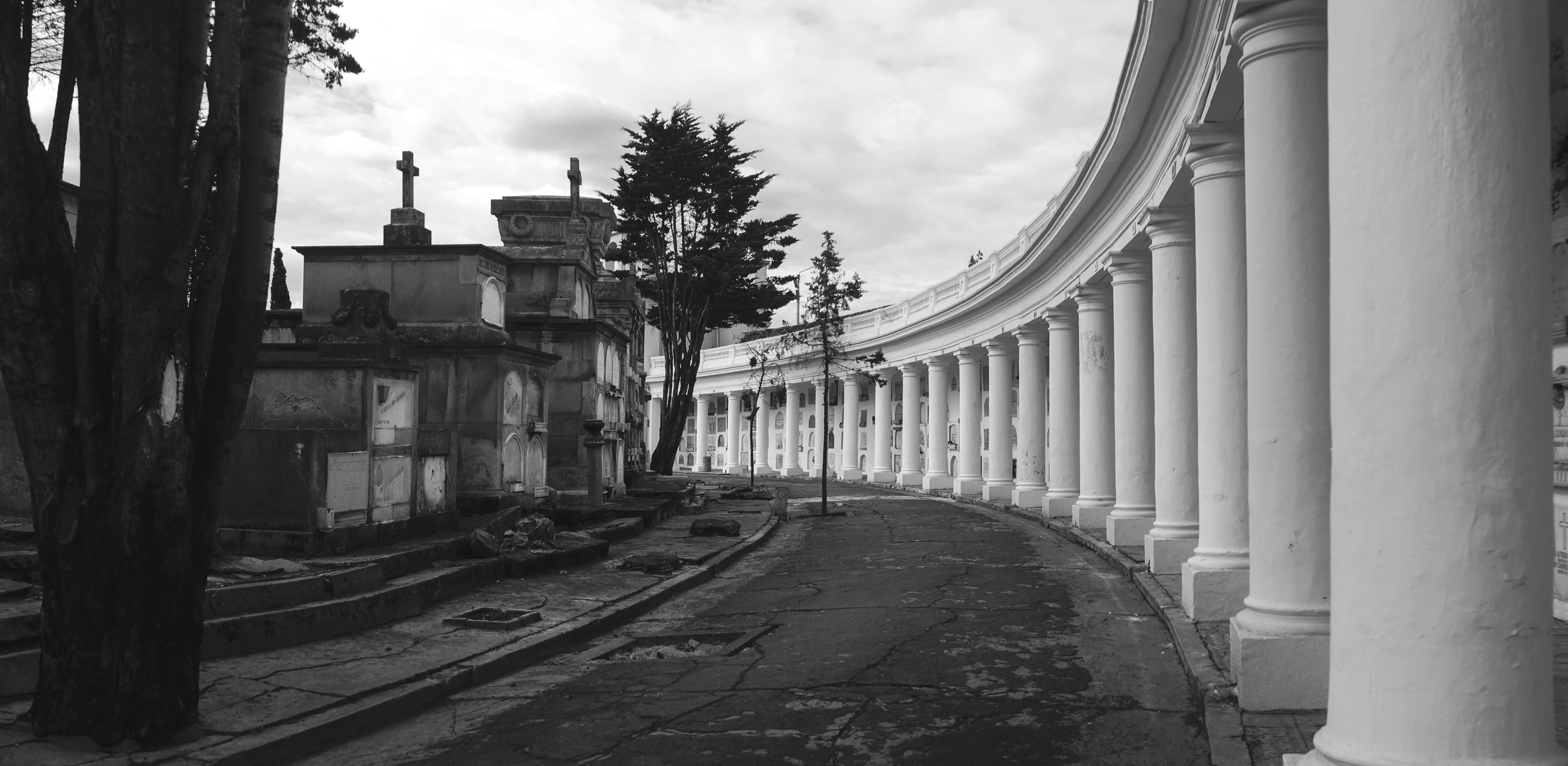 Photo by andresloquesea