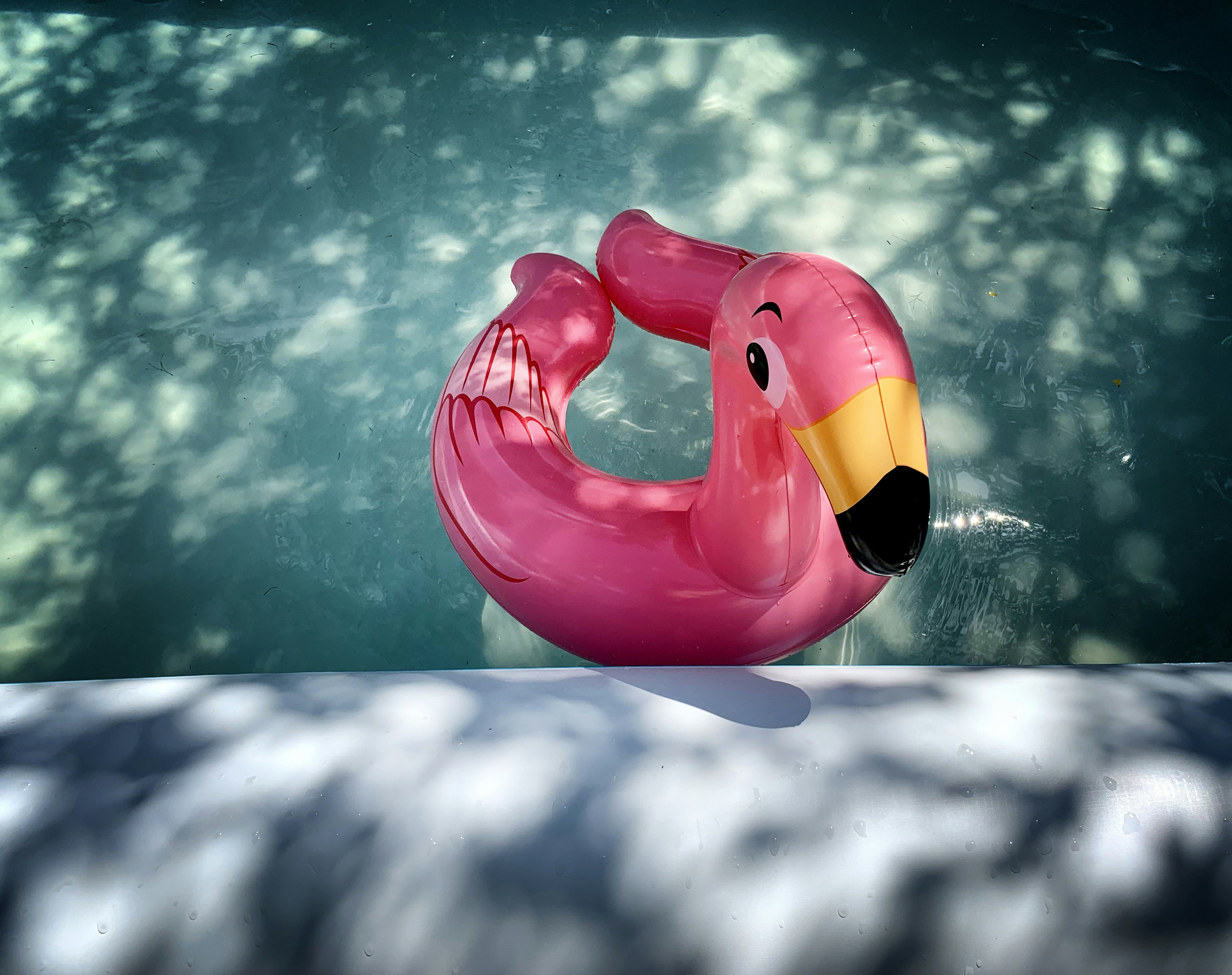 How to clean dirty and sticky pool floats? HappyGiftsForKids