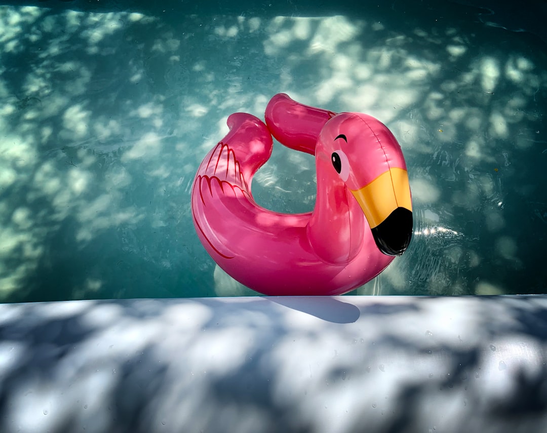 pink inflatable flamingo on water