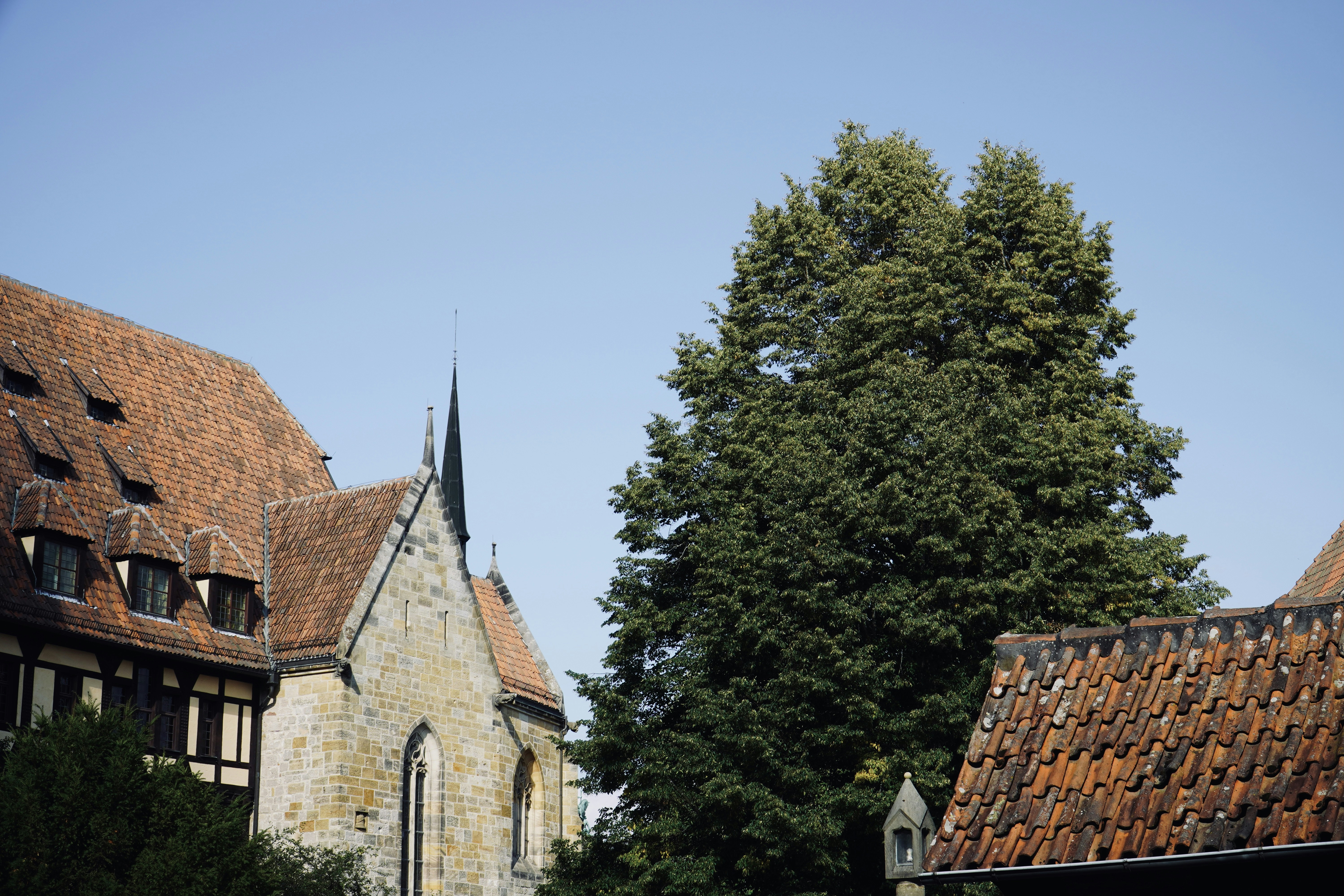 別鬧了！這科技真相曝光，看完我下巴掉下來！
