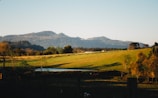 A tranquil landscape features rolling green hills bathed in golden sunlight. In the background, a range of mountains rises under a clear blue sky. A small pond reflects the light, surrounded by trees and pastureland.