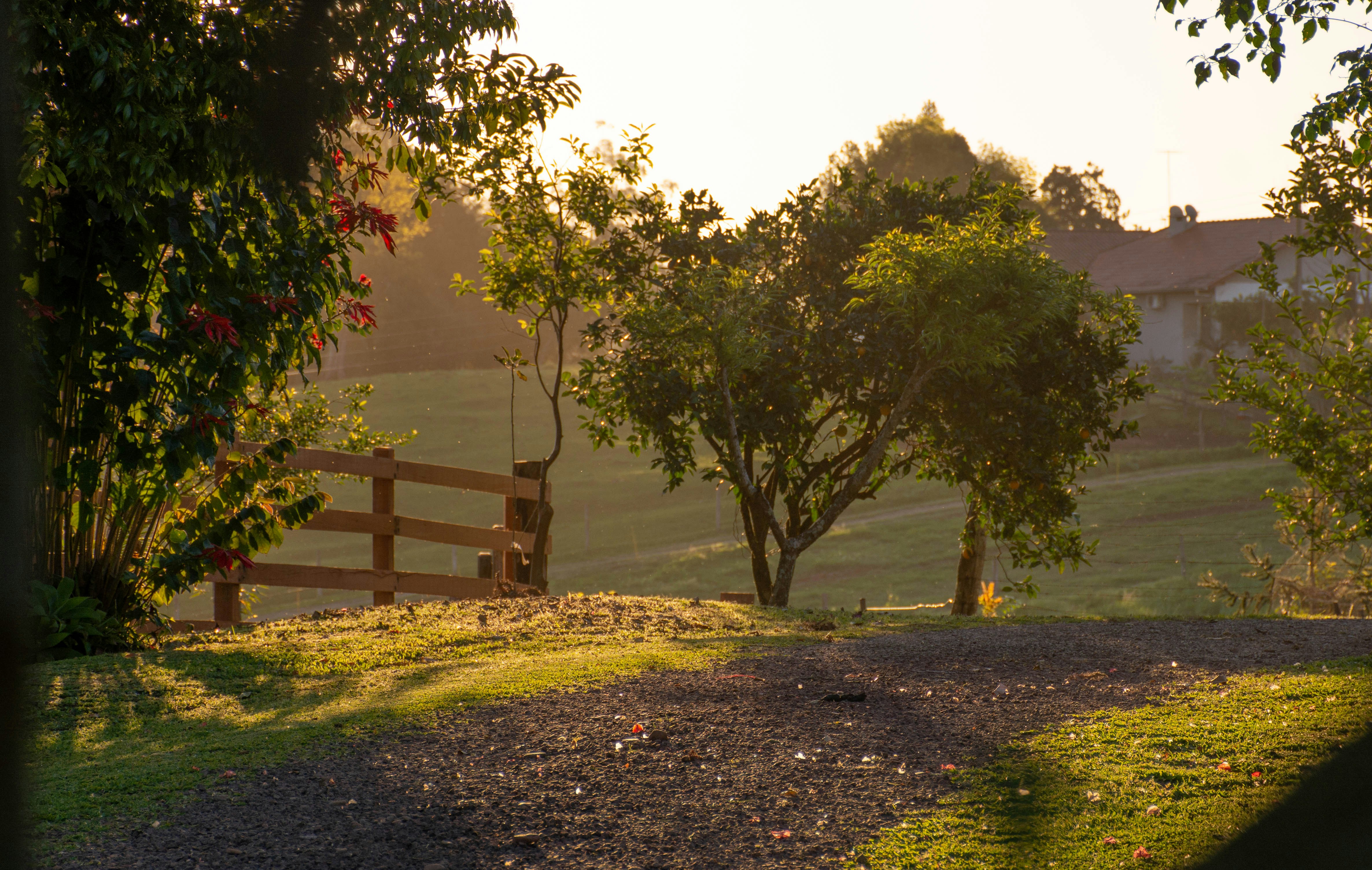 Photo by lucasgwendt