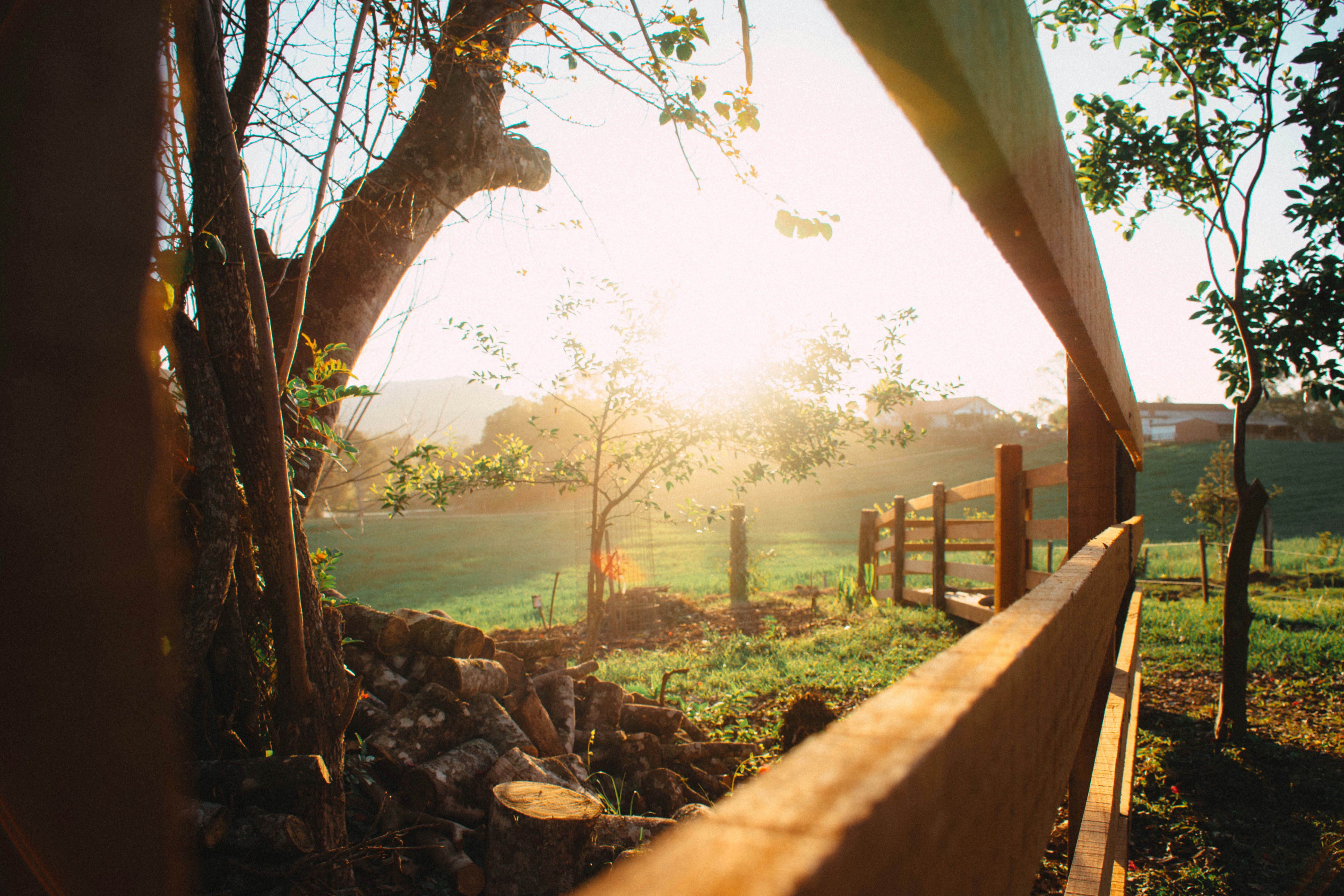 Photo by lucasgwendt