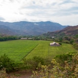 A lush green agricultural field stretches across the landscape, bordered by dense forests and overshadowed by distant, rugged mountains. A solitary wooden barn sits in the middle of the field, adding a rustic touch to the serene setting under a partly cloudy sky.