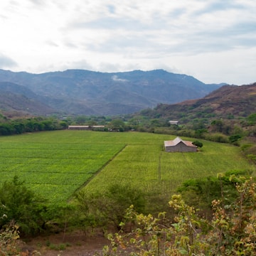 A lush green agricultural field stretches across the landscape, bordered by dense forests and overshadowed by distant, rugged mountains. A solitary wooden barn sits in the middle of the field, adding a rustic touch to the serene setting under a partly cloudy sky.