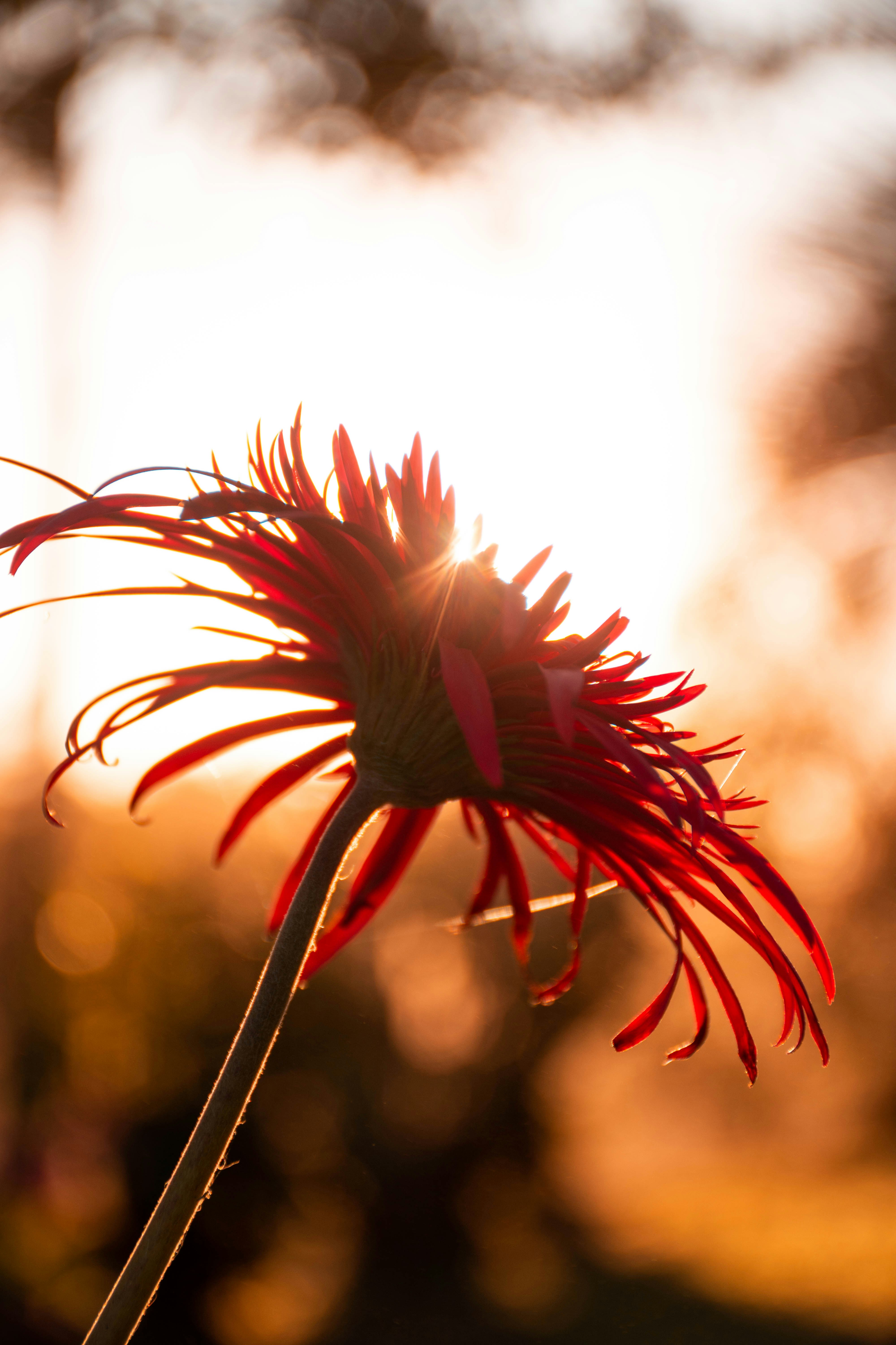 Photo by lucasgwendt