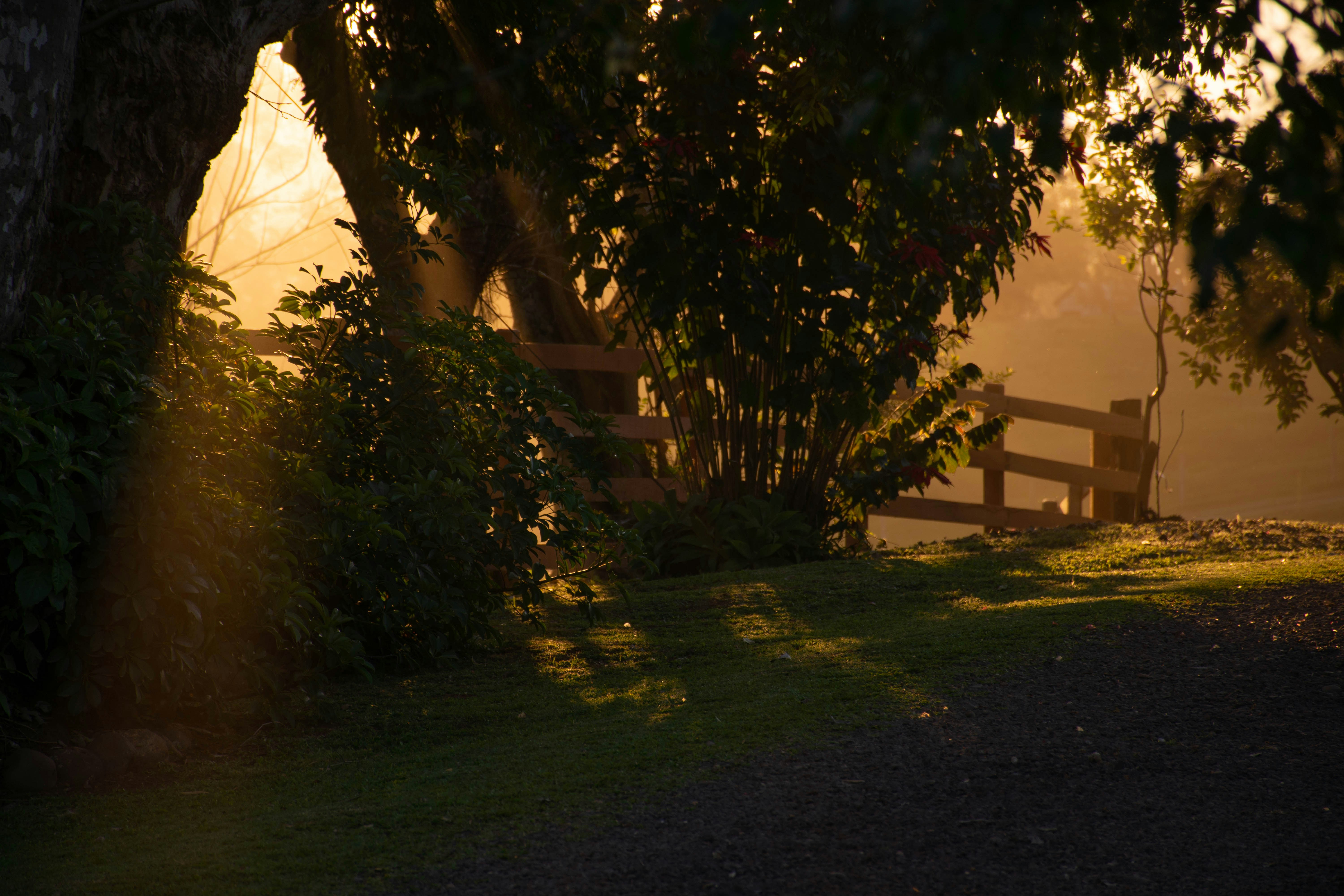 Photo by lucasgwendt