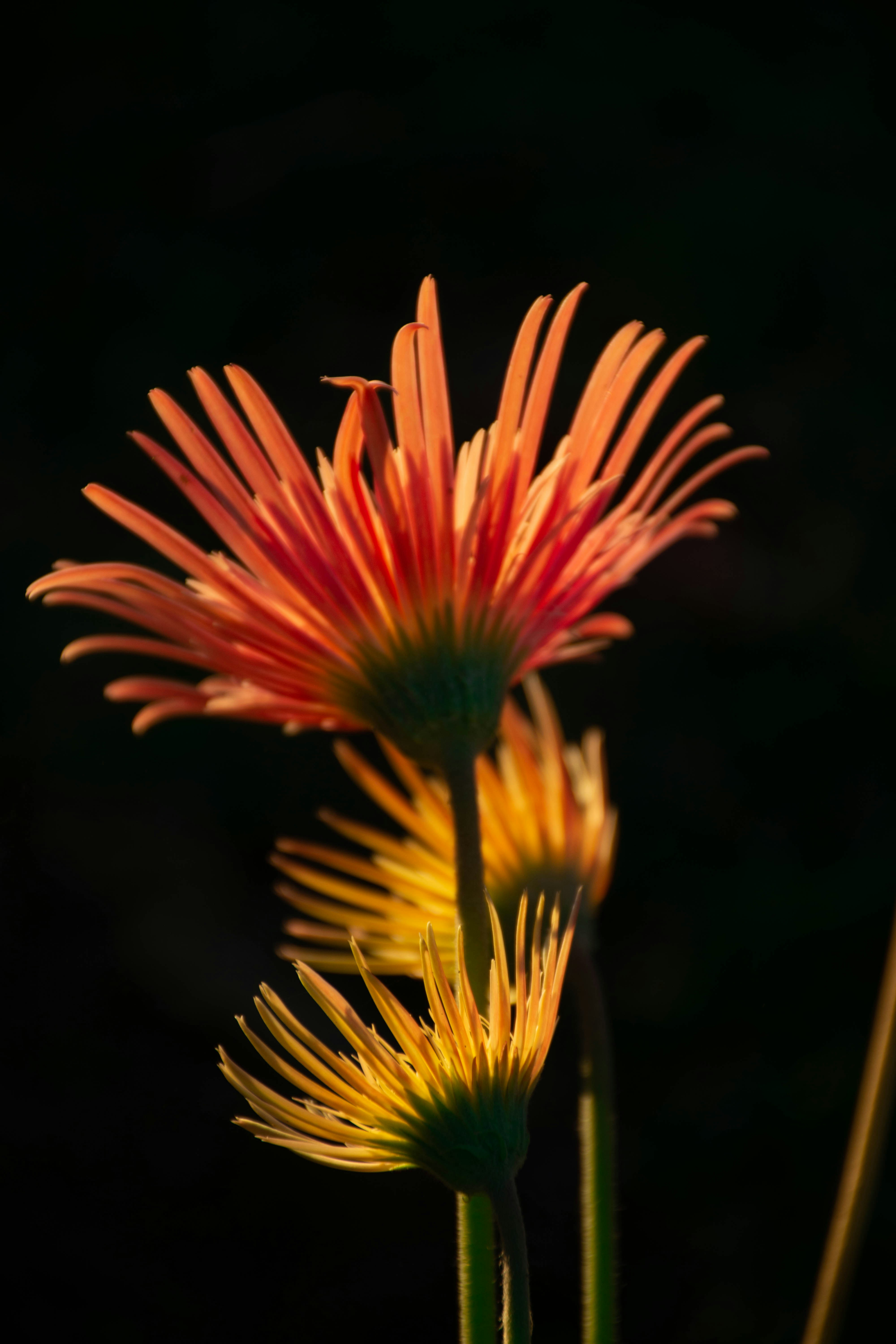 Photo by lucasgwendt