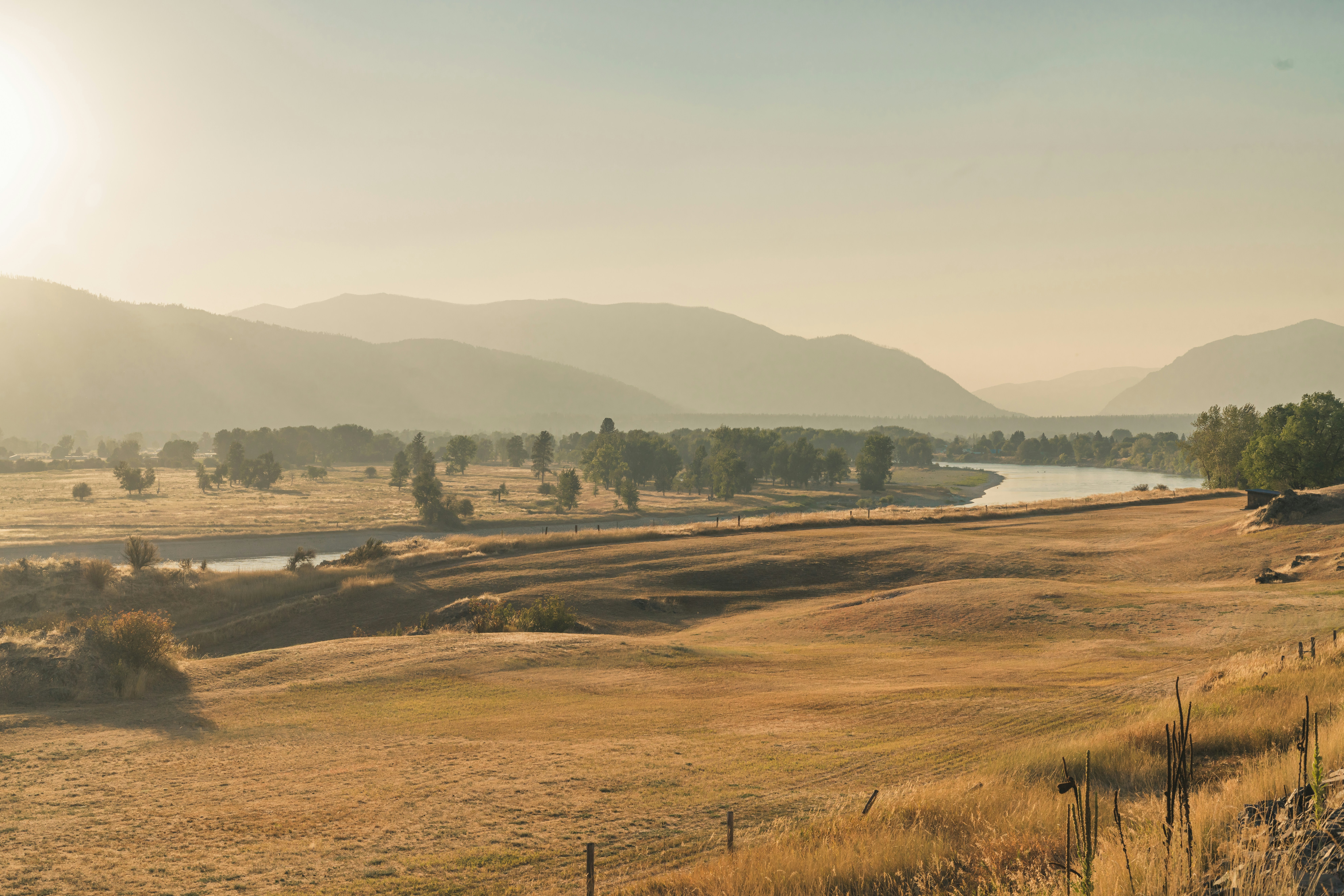 green grass field near body of water during daytime