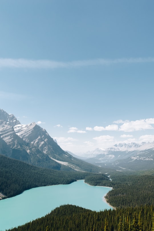 snow covered mountains under blue sky during daytime in Peyto Lake Canada