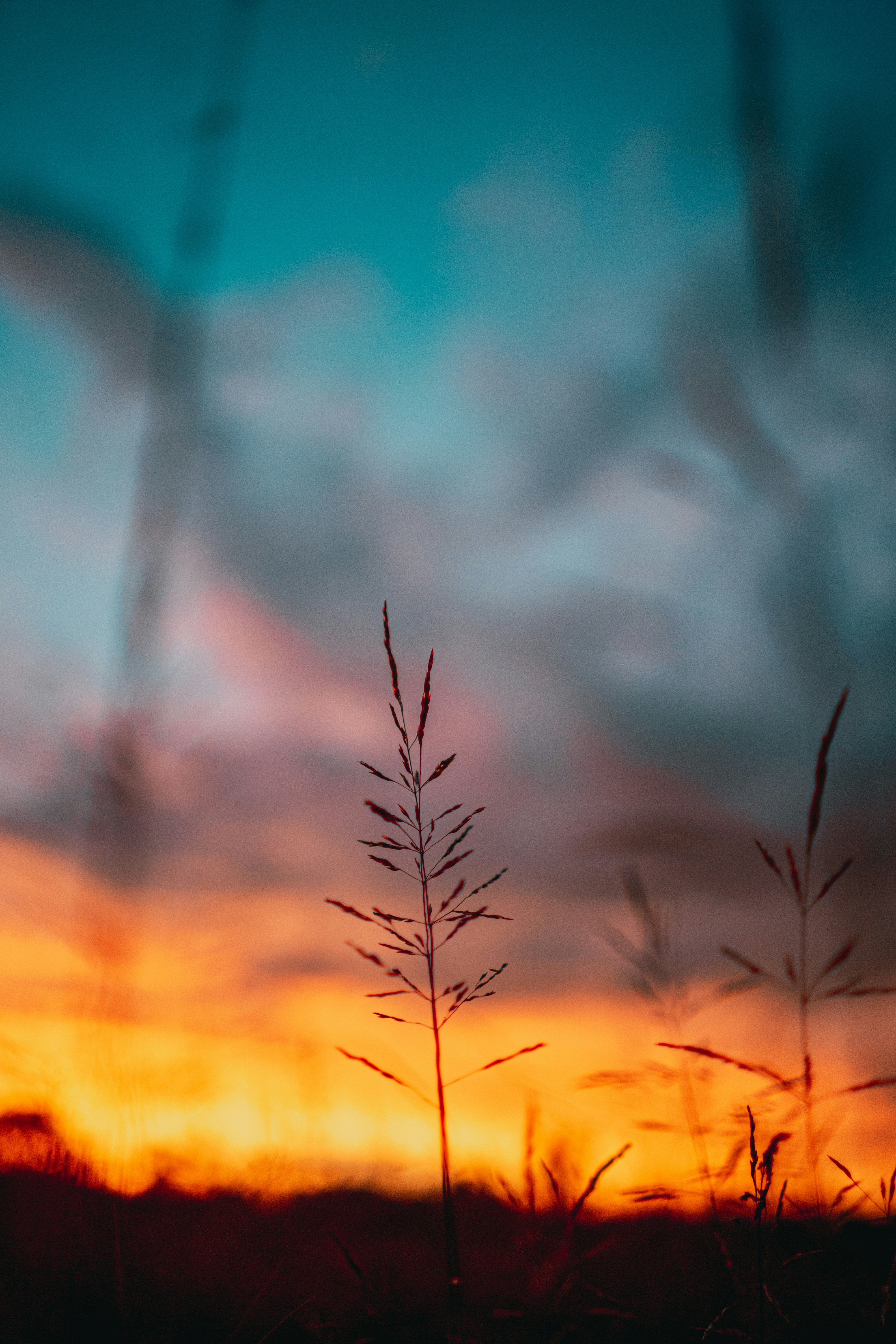 Photo by fernthephotographer