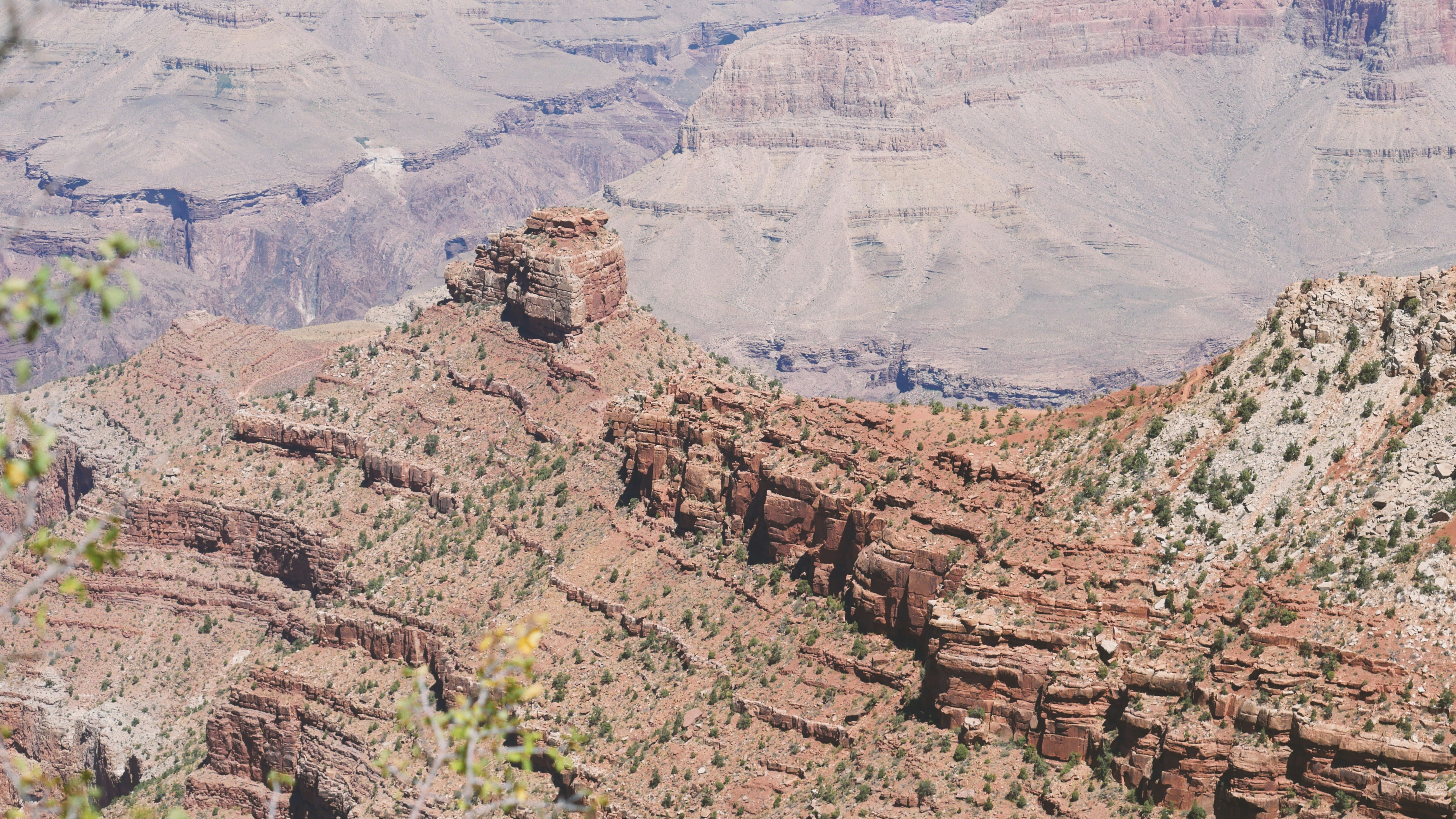 Photo by kikifalconer