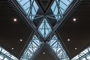 A geometric view of a modern architectural ceiling featuring triangular patterns made from glass and steel. The ceiling is designed with intersecting beams creating a tessellated effect, and there are several round lights evenly distributed across the structure.