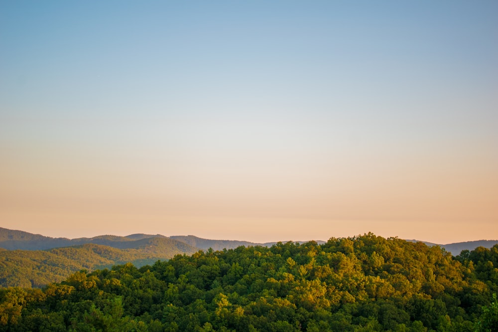 green trees on mountain under white sky during daytime