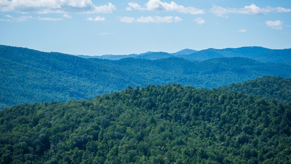 green trees on mountain under blue sky during daytime