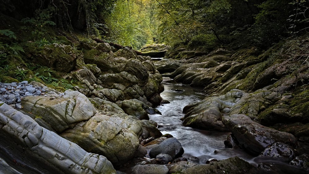 brown rocks on river during daytime