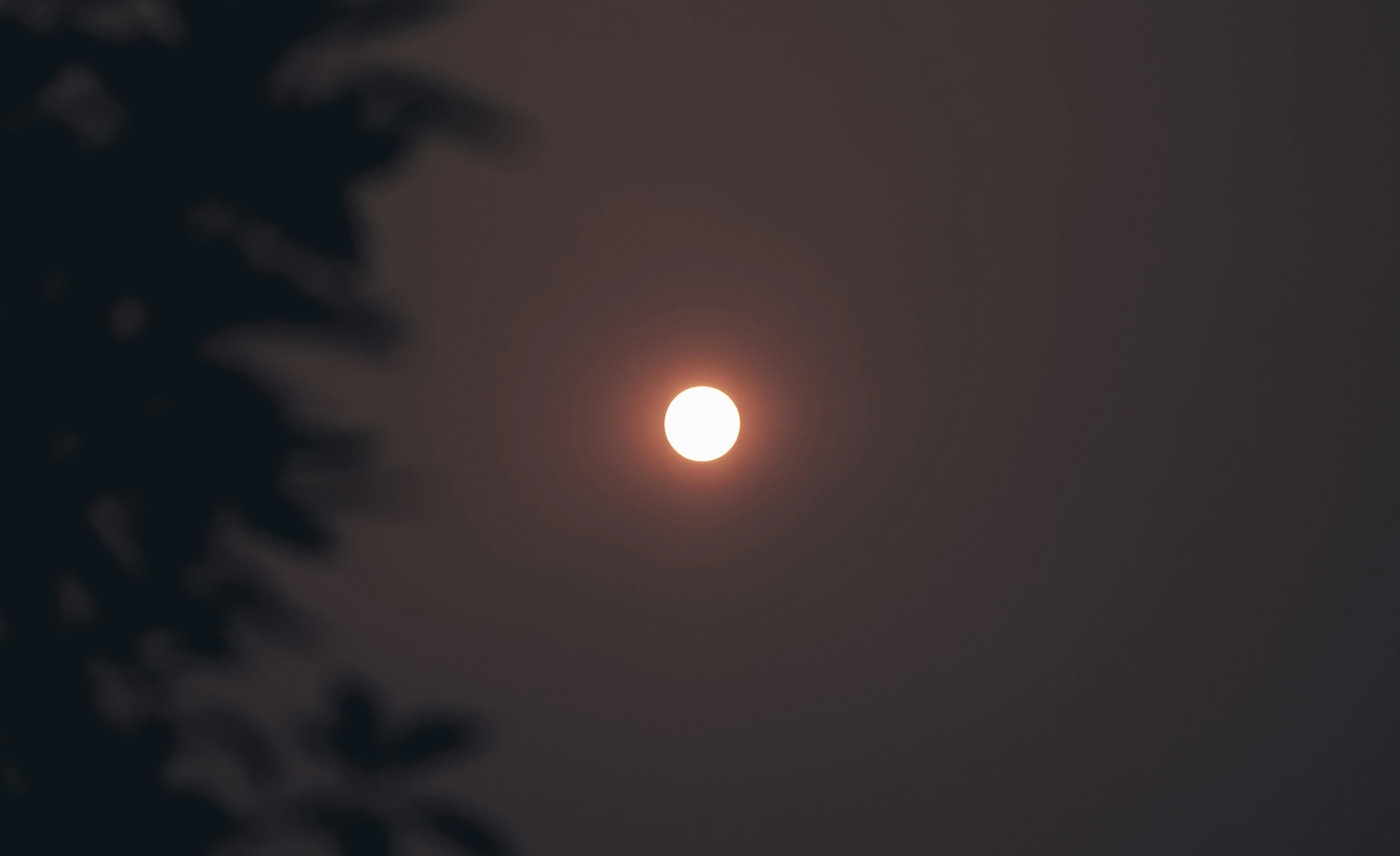 sun in the sky during night time