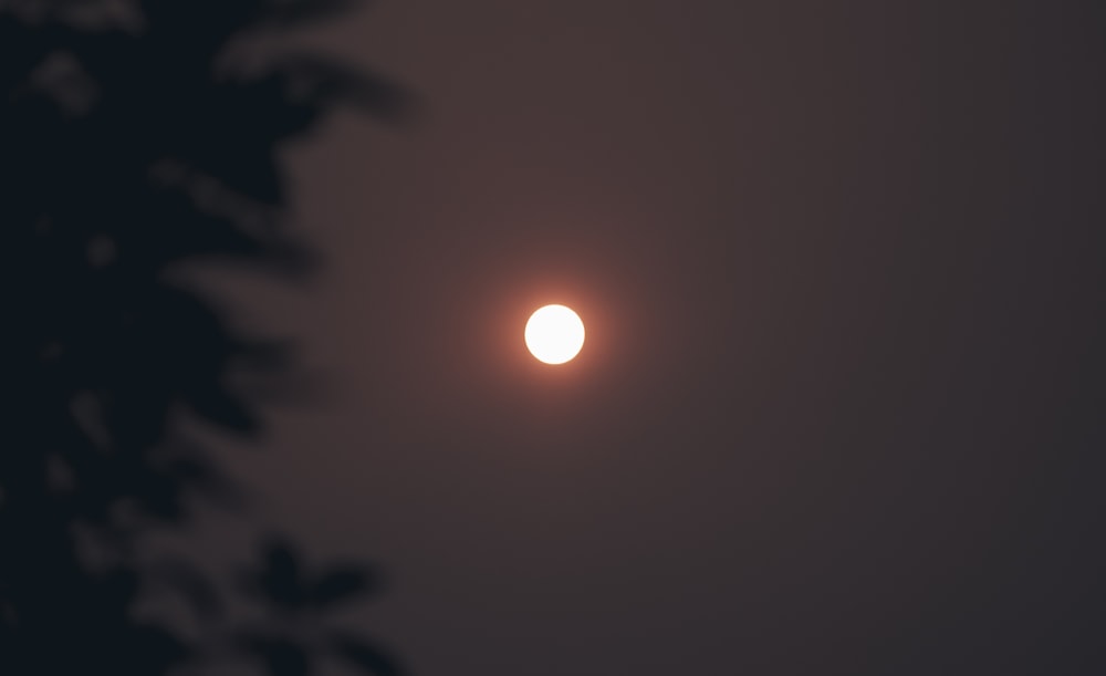sun in the sky during night time