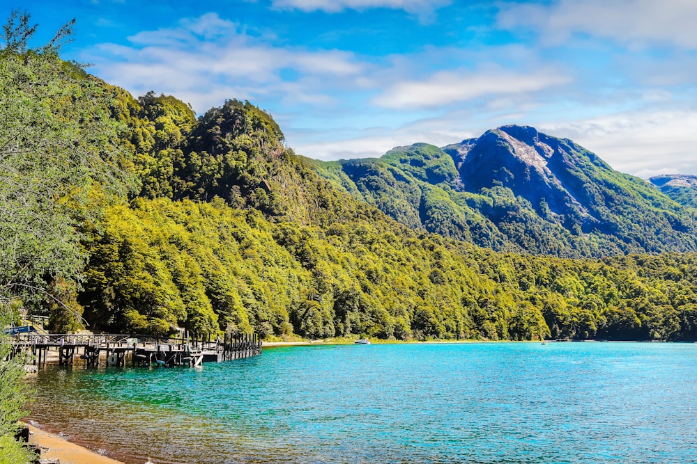 green trees on mountain beside body of water during daytime