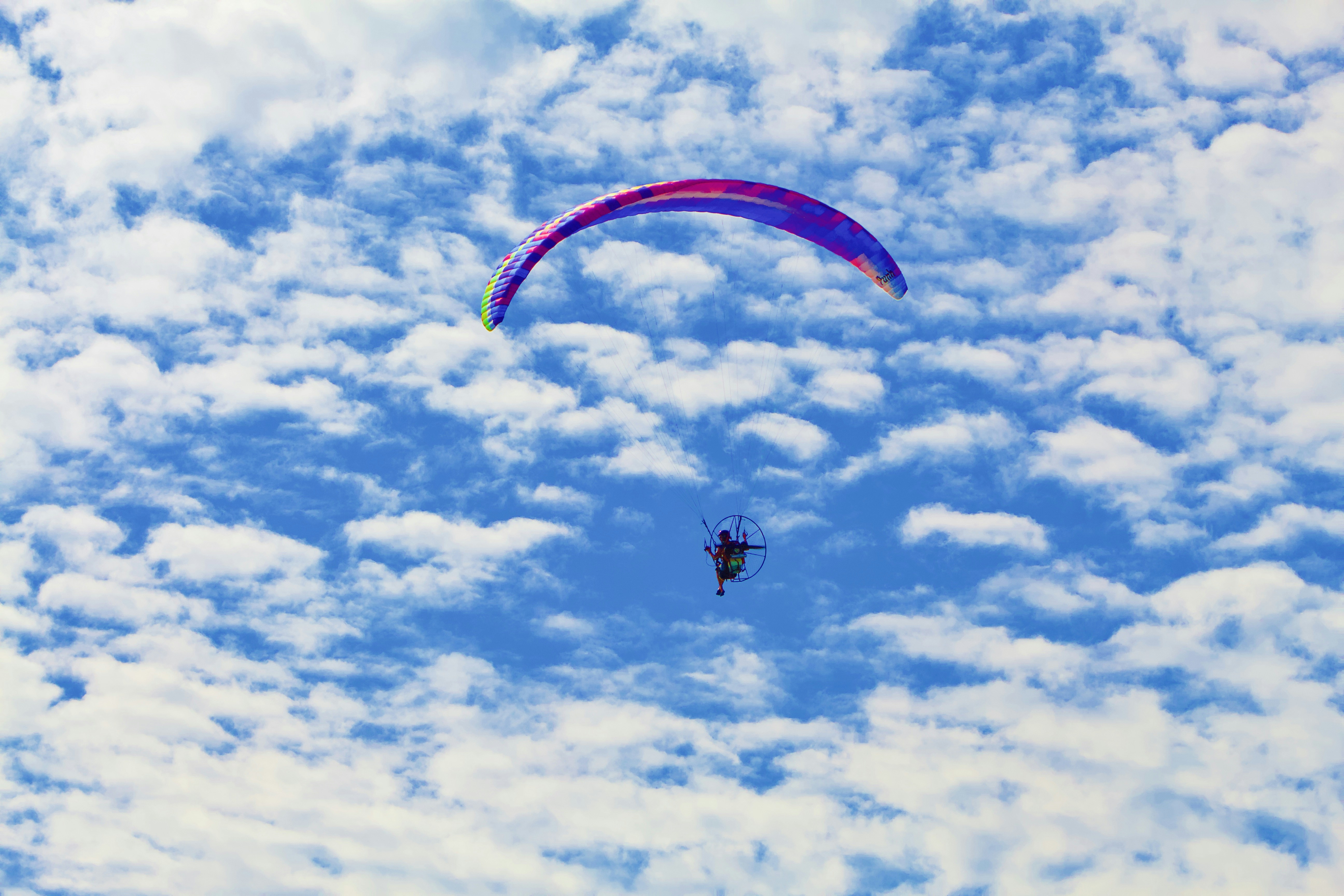 Photo by shanecurative_