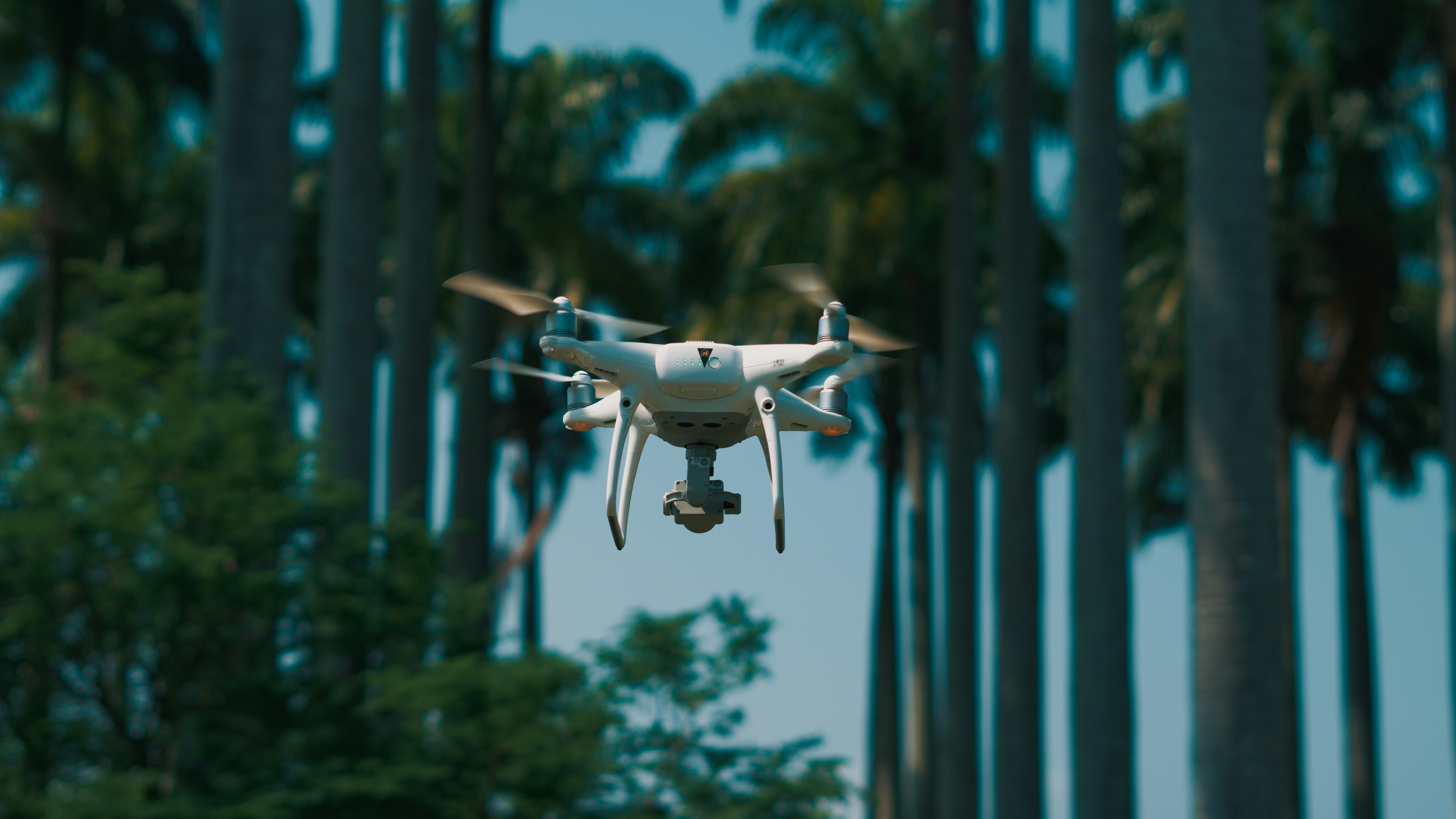 white drone flying over green trees during daytime (Photo by Luan de Oliveira Silva on Unsplash)