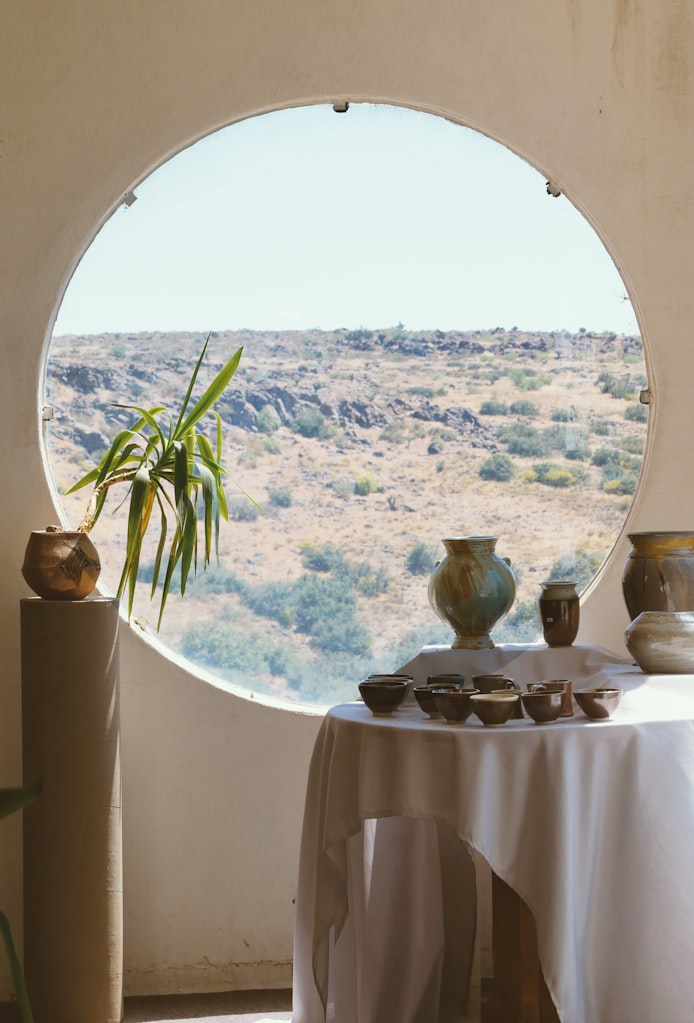 Ceramics and a Green Plant on White Table