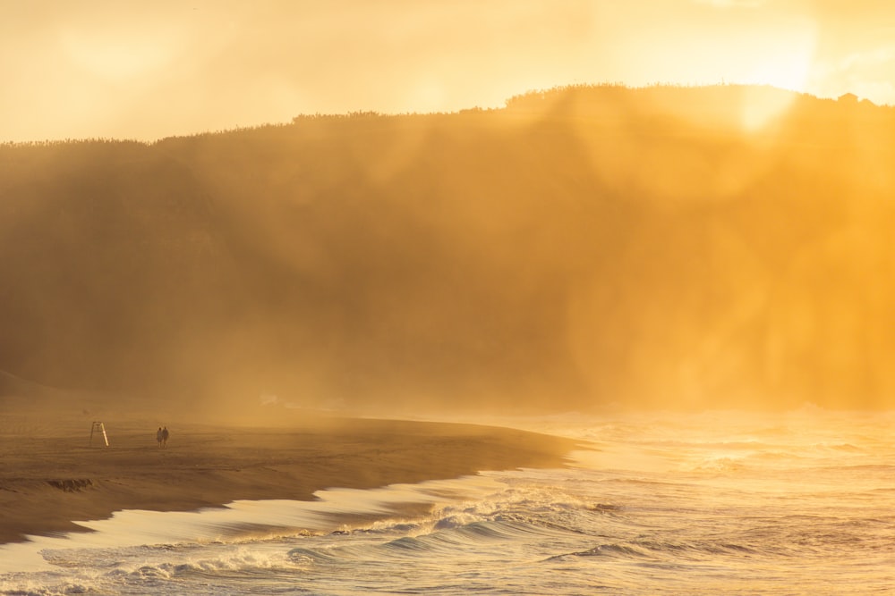 person standing on seashore during daytime